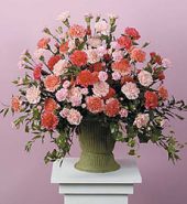 Pink and Peach Carnations